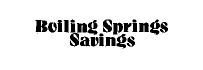 BOILING SPRINGS SAVINGS