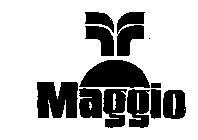 MAGGIO