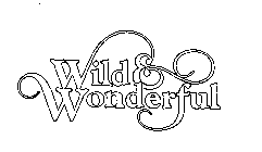 WILD & WONDERFUL