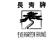 EVERGREEN BRAND