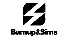 BURNUP & SIMS