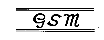 G S M