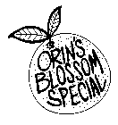 ORIN'S BLOSSOM SPECIAL