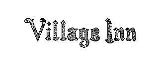 VILLAGE INN