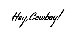 HEY, COWBOY!