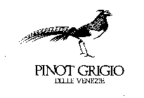PINOT GRIGIO DELLE VENEZIE