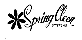 SPRING CLEEN SYSTEMS
