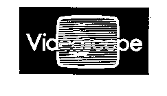 VIDEOSCOPE
