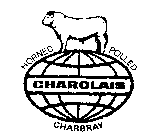 HORNED POLLED CHAROLAIS CHARBRAY