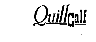 QUILL CALF