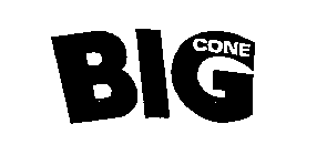 BIG CONE
