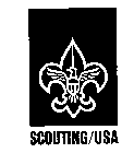 SCOUTING/USA