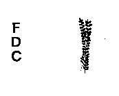 FDC