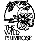 THE WILD PRIMROSE