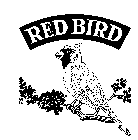 RED BIRD