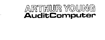 ARTHUR YOUNG AUDIT COMPUTER