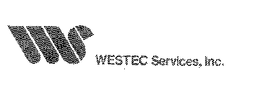 WS WESTEC SERVICES, INC.