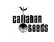 CALLAHAN SEEDS