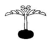 Image Trademark