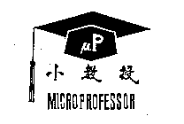 P MICROPROFESSOR