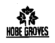 HOBE GROVES
