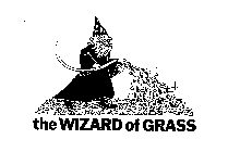 THE WIZARD OF GRASS