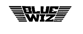 BLUE WIZ