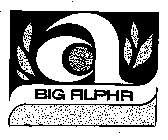 BIG ALPHA A