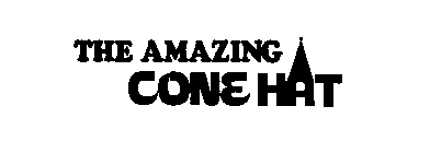 THE AMAZING CONE HAT
