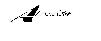 A ARNESON DRIVE