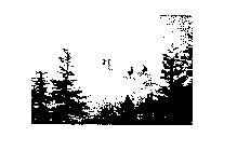 Image Trademark