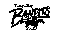 TAMPA BAY BANDITS
