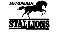 BIRMINGHAM STALLIONS