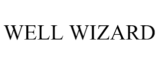 WELL WIZARD