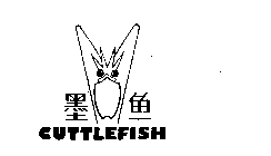 CUTTLEFISH