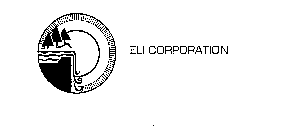 ELI CORPORATION