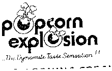 POPCORN EXPLOSION - THE DYNAMITE TASTE SENSATION!!