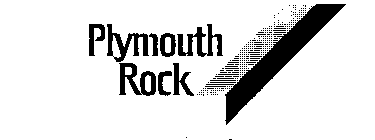PLYMOUTH ROCK
