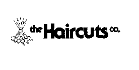 THE HAIRCUTS CO.