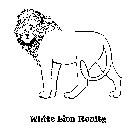 WHITE LION REALTY