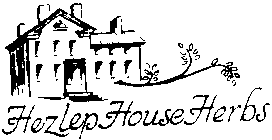 HEZLEP HOUSE HERBS