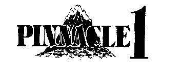 PINNACLE 1