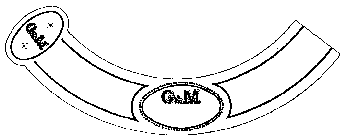 G & M