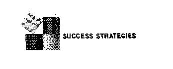 SUCCESS STRATEGIES
