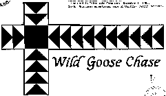 WILD GOOSE CHASE