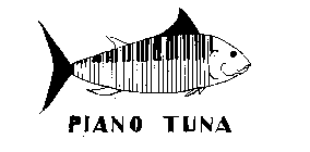 PIANO TUNA