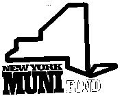 NEW YORK MUNI FUND