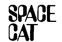 SPACE CAT