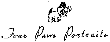 FOUR PAWS PORTRAITS