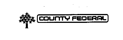 COUNTY FEDERAL